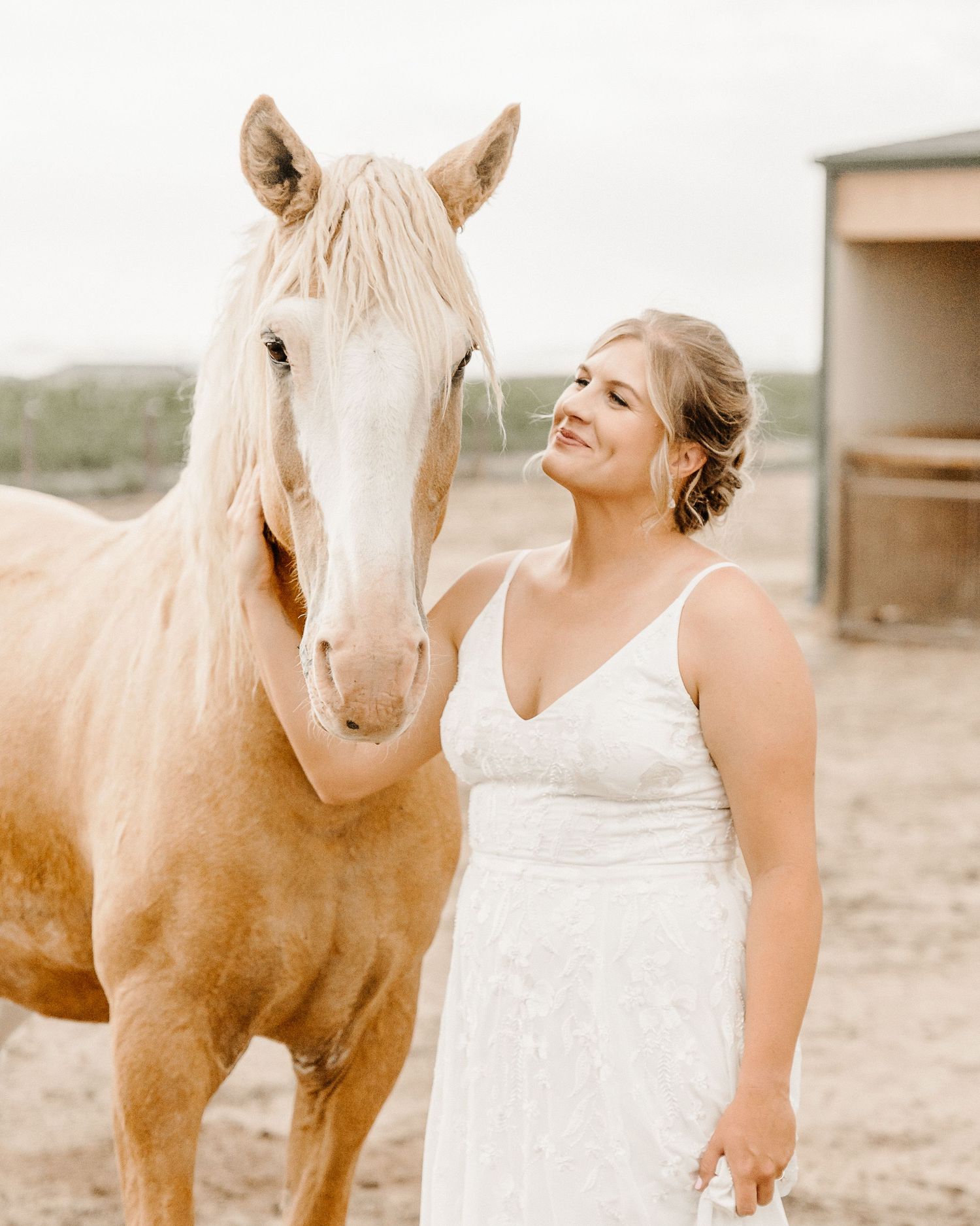 A beautiful palomino horse and a woman in a lace wedding dress share a joyful moment in an outdoor rustic setting.