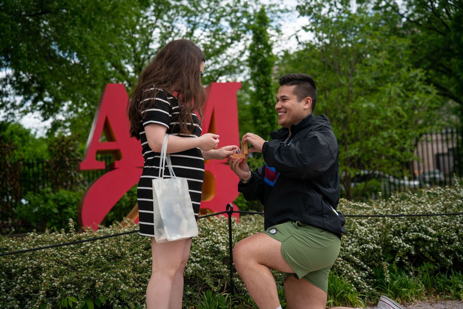 Series of romantic proposal photos captured in a lush green garden setting.