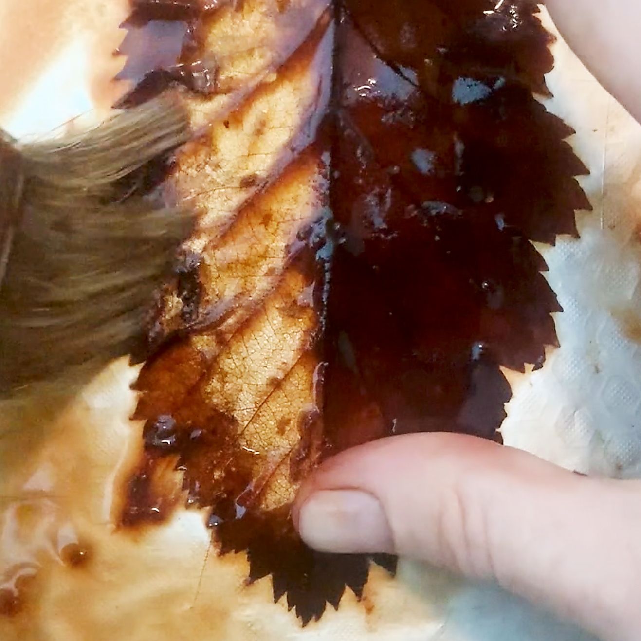 leaf skeleton scrub