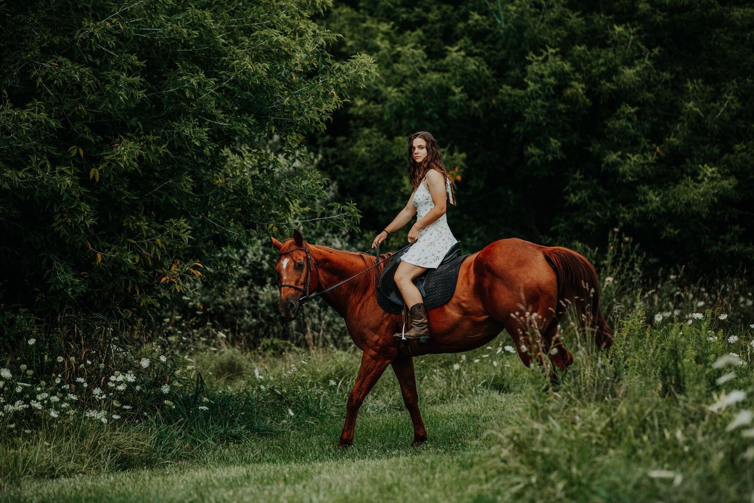 Metro Detroit Portrait Photographer captures Portrait of young woman riding horse senior photos wearing white dress through flower fields