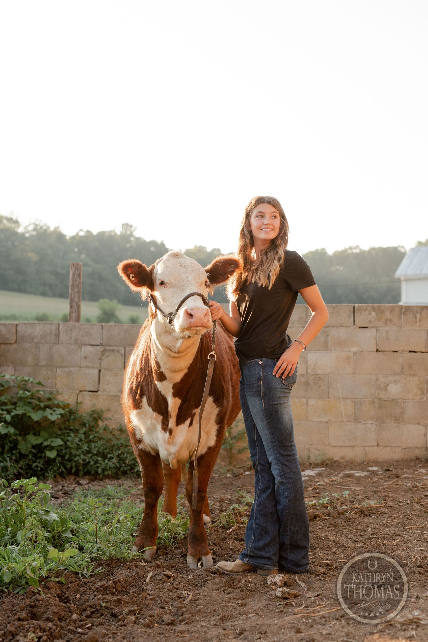 A spotted dairy cow stands with its handler against a stone wall in a rural farm setting.