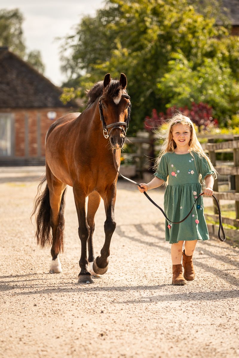A young companion walking with a bay horse on a sunny country path.