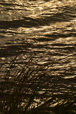Sunset and Glowing, Sandy Water Reflections. Swan Lake National Wildlife Refuge, Missouri