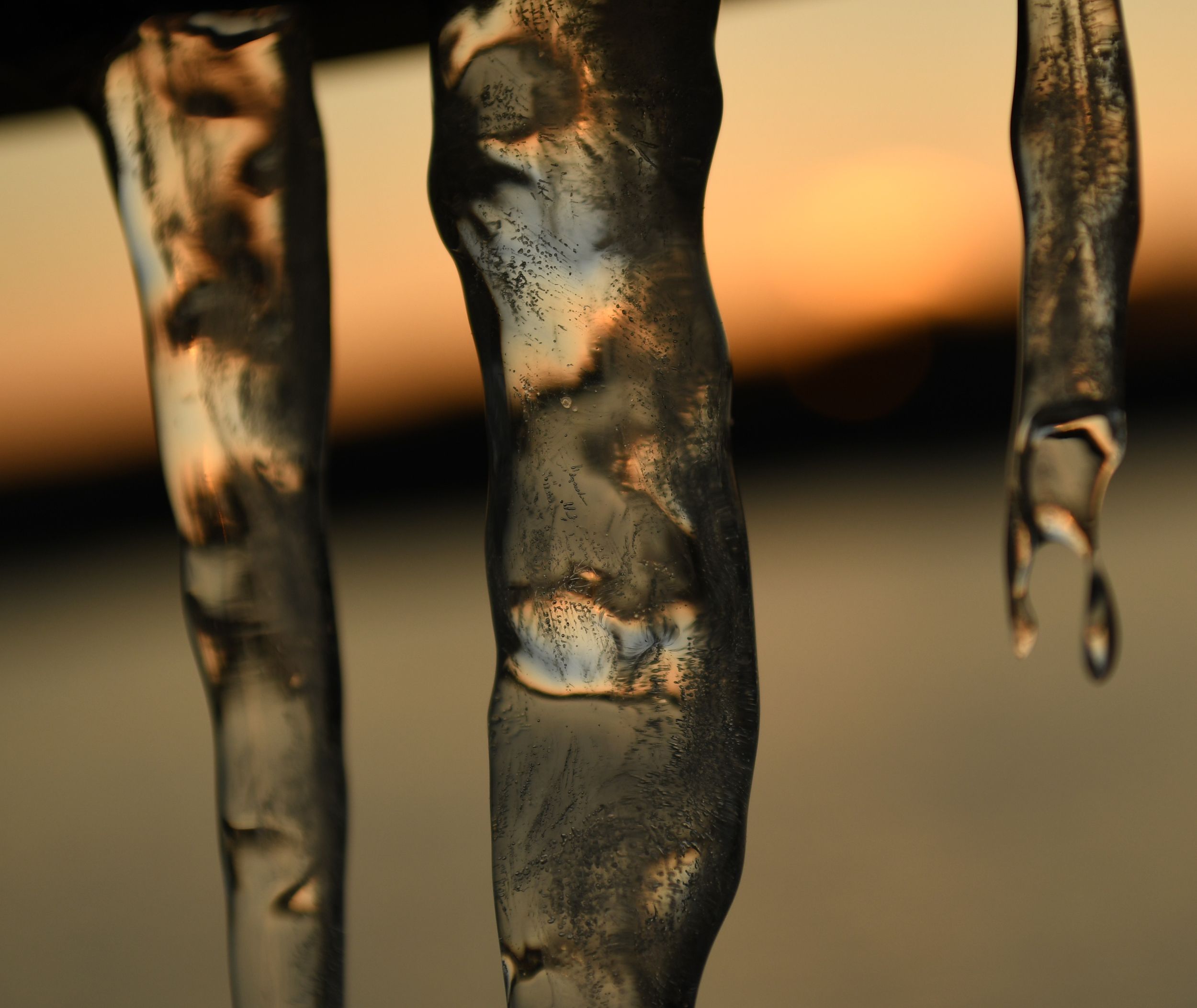 Colorful Icicles During Sunset of the Great Texas Freeze of 2020