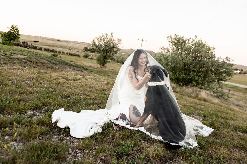 Bride in white wedding dress and veil sitting on grass with large black dog in scenic outdoor setting.