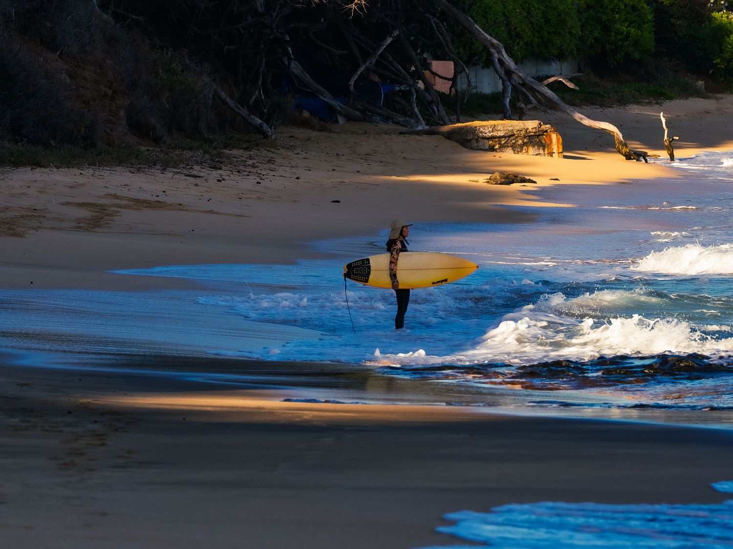 A surfer in a hat holds a yellow surfboard while standing in the shorebreak at Waikiki, driftwood and sand catching warm light behind.