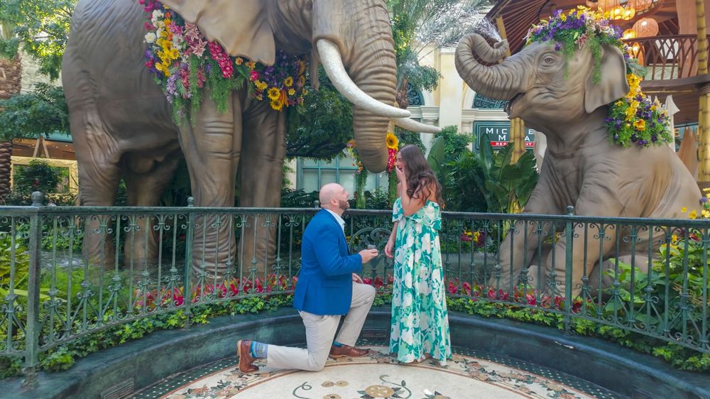 Man proposing to woman on one knee near ornate elephant statues decorated with flowers in an elegant indoor setting.