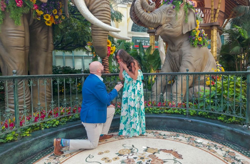 Man proposes to woman on one knee near elephant statues surrounded by tropical flowers at Mandalay Bay resort.