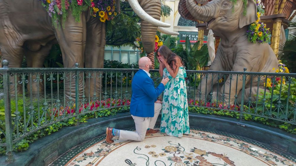 Man proposing on one knee to woman in green dress near decorative elephant statues in a floral garden setting.