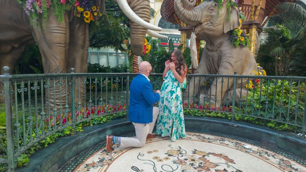Man proposing to woman near elephant statues in a floral garden setting at an elegant resort.