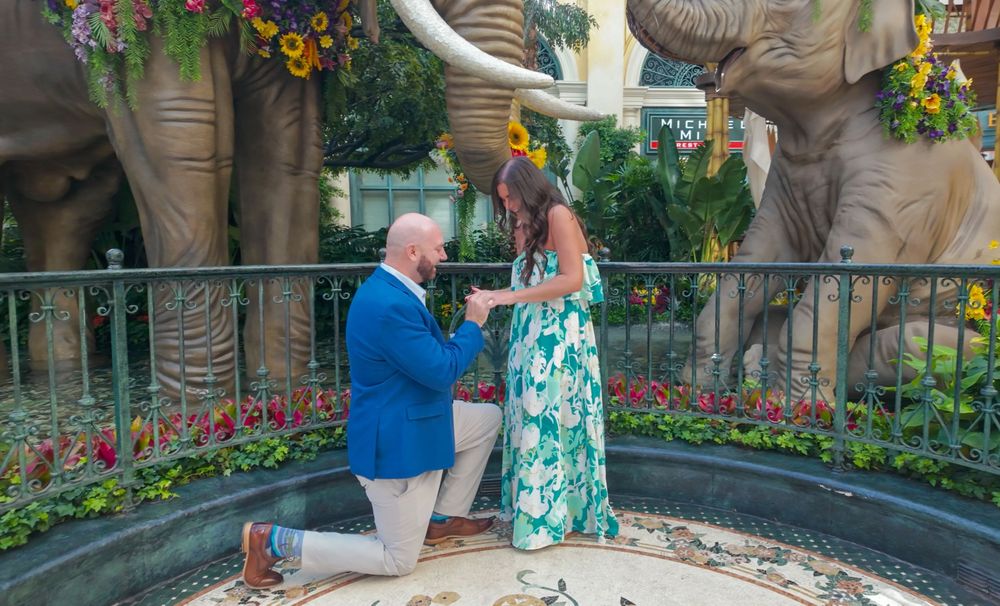 Man proposing to woman on one knee near elephant statues surrounded by colorful flowers at an outdoor venue.