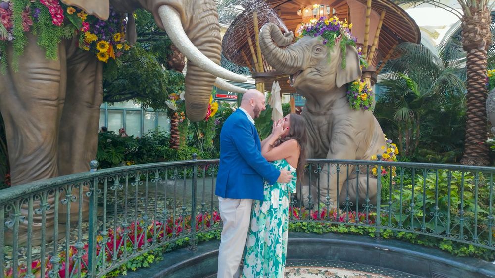 Couple embracing romantically among large elephant statues and tropical flowers in an elegant garden setting.