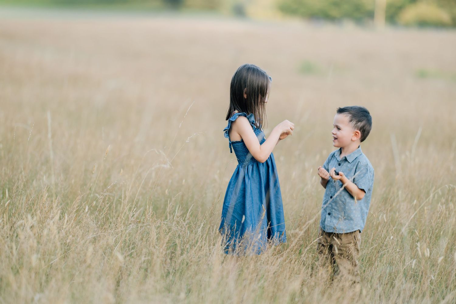 Two children playing in a golden field, a girl in a blue dress and a boy in a gray shirt sharing a joyful moment.