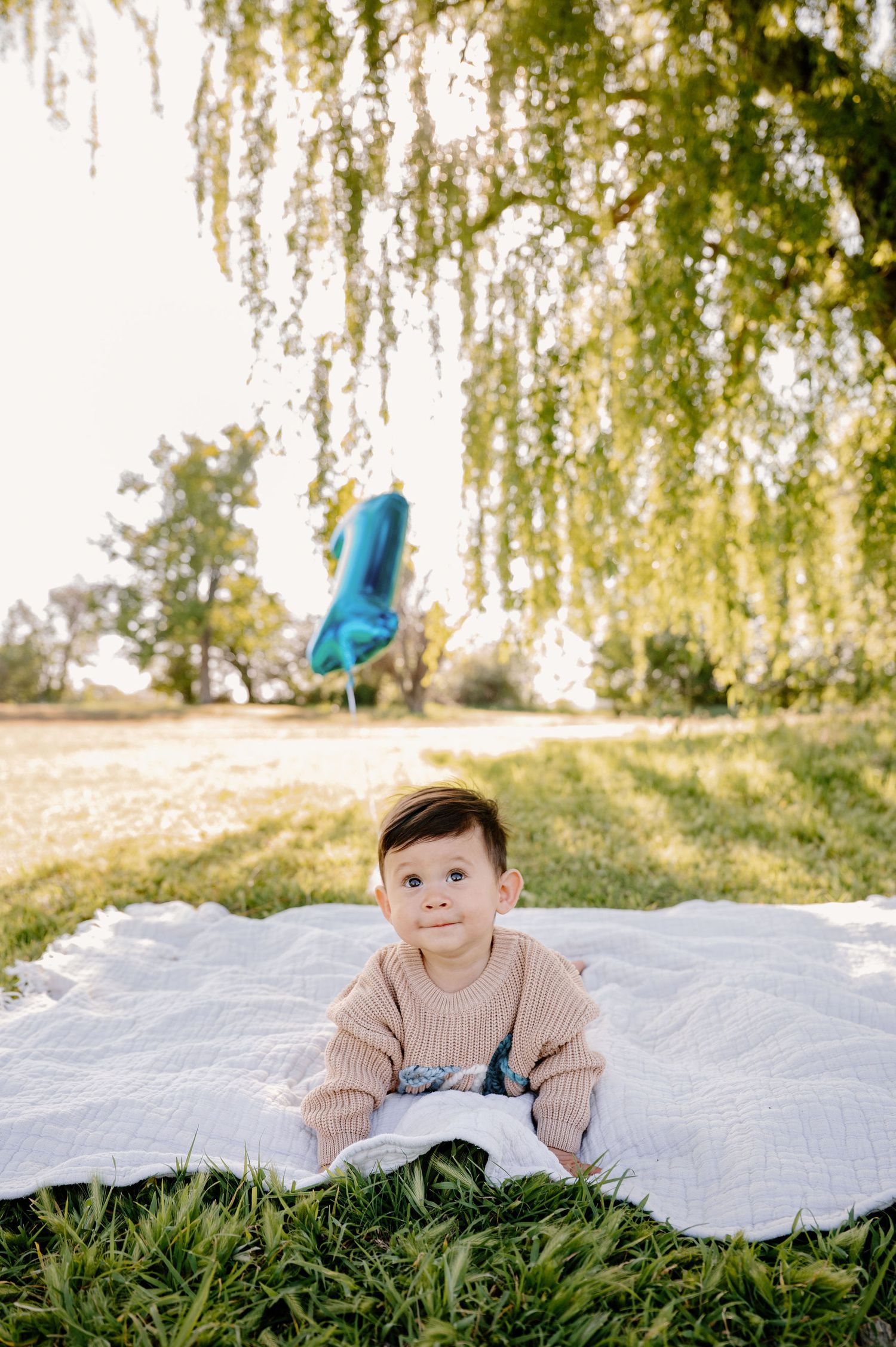 First birthday milestone photos at the park in Tri-Cities, WA