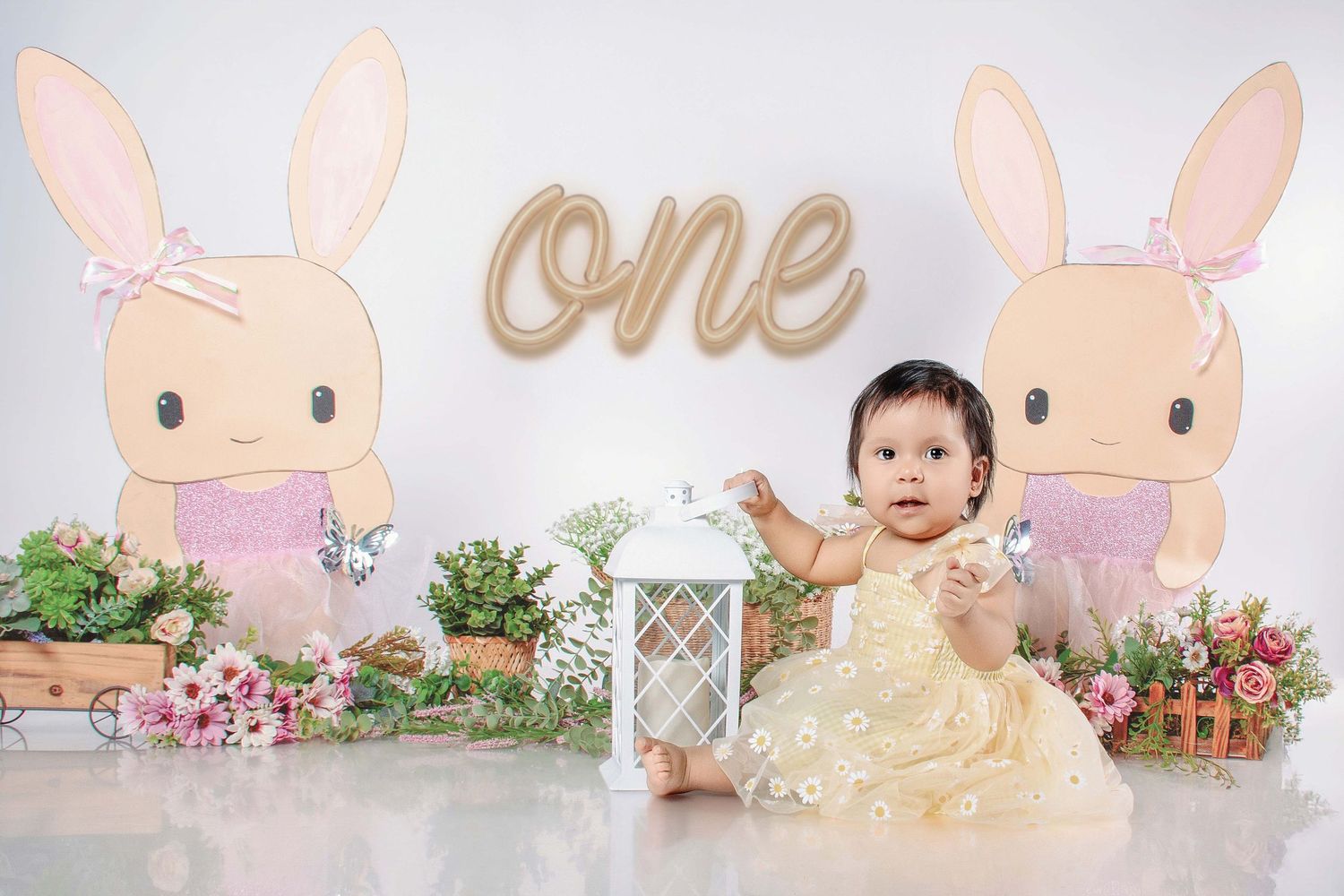 Fotografía Smash Cake en Ciudad de México. Captura momentos divertidos y únicos en estudio con iluminación profesional y diseño conceptual.