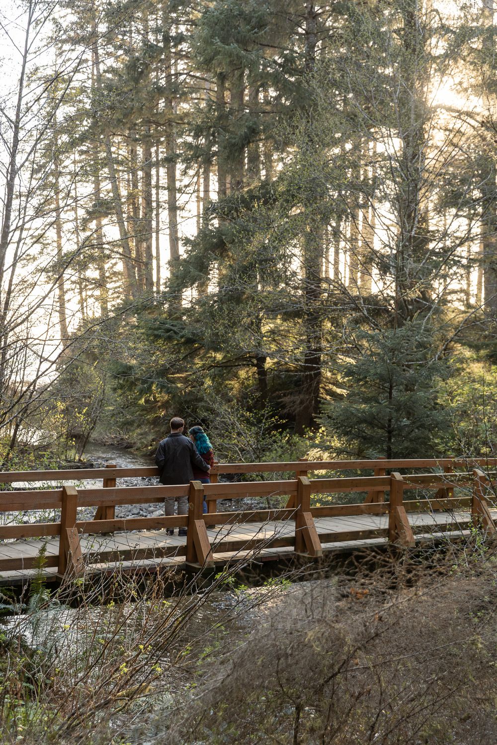 Two hikers stand on a wooden bridge surrounded by tall evergreen trees with sunlight filtering through the forest.