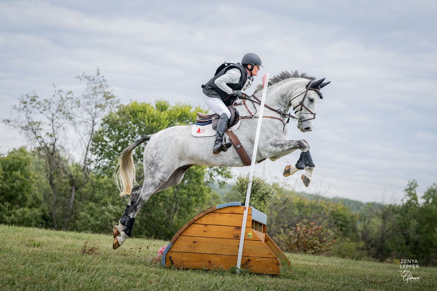 Equestrian rider on gray horse jumping over wooden obstacle during cross-country eventing competition outdoors.
