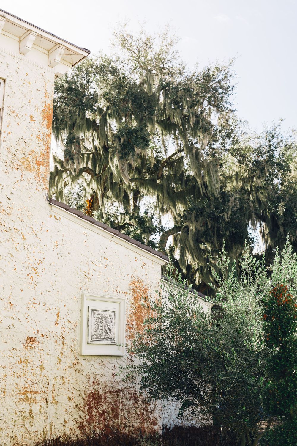 Historic white stucco building with rustic patina beside a large Spanish moss-draped oak tree.