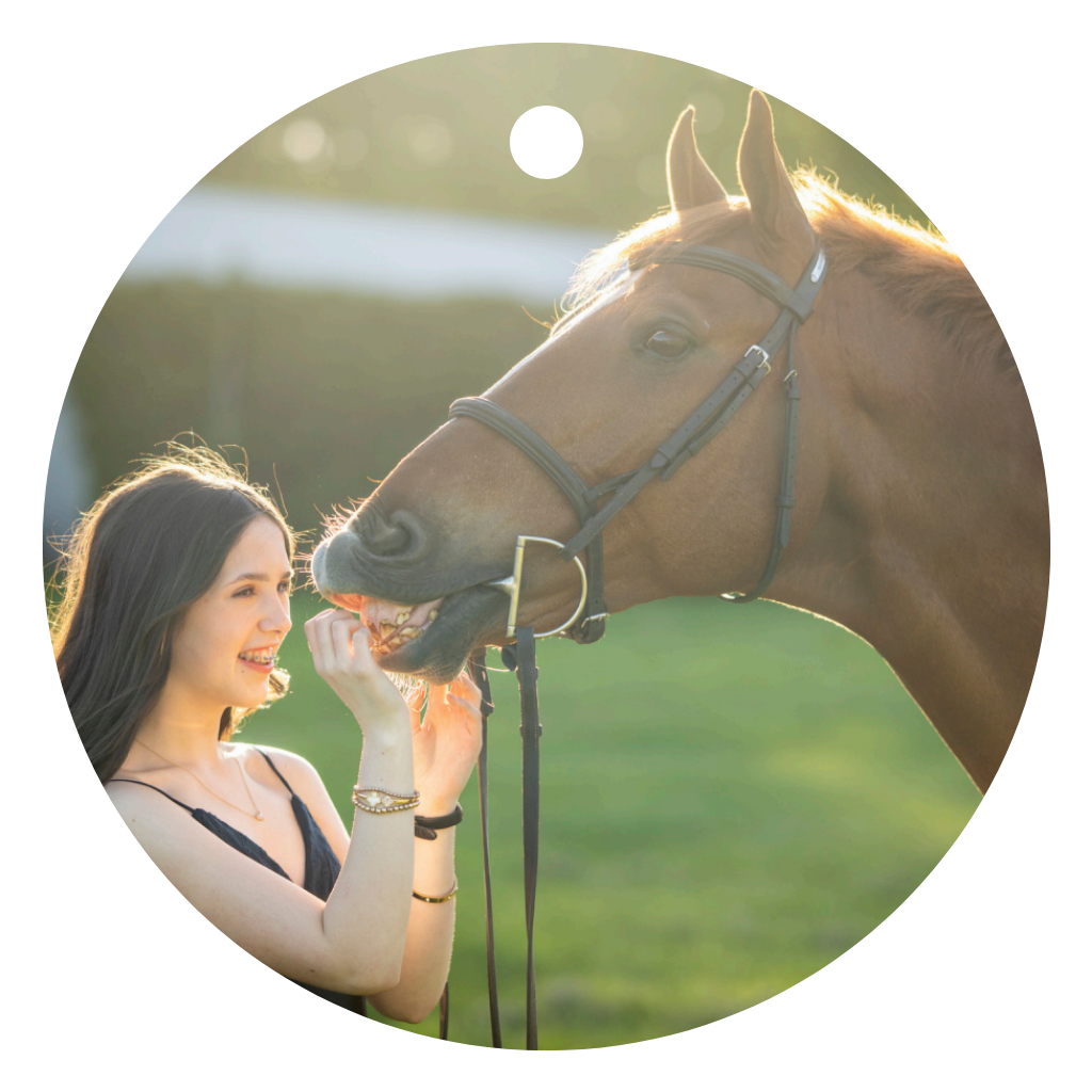 A young woman smiles while bonding with a chestnut horse in a sunlit outdoor setting.
