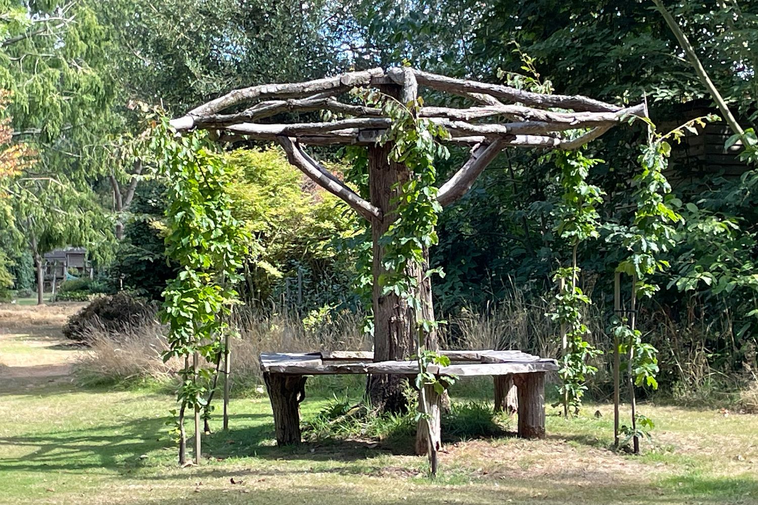 Rustic wooden pergola with branch canopy over a natural log table and benches in a lush garden setting at Green Island Gardens.