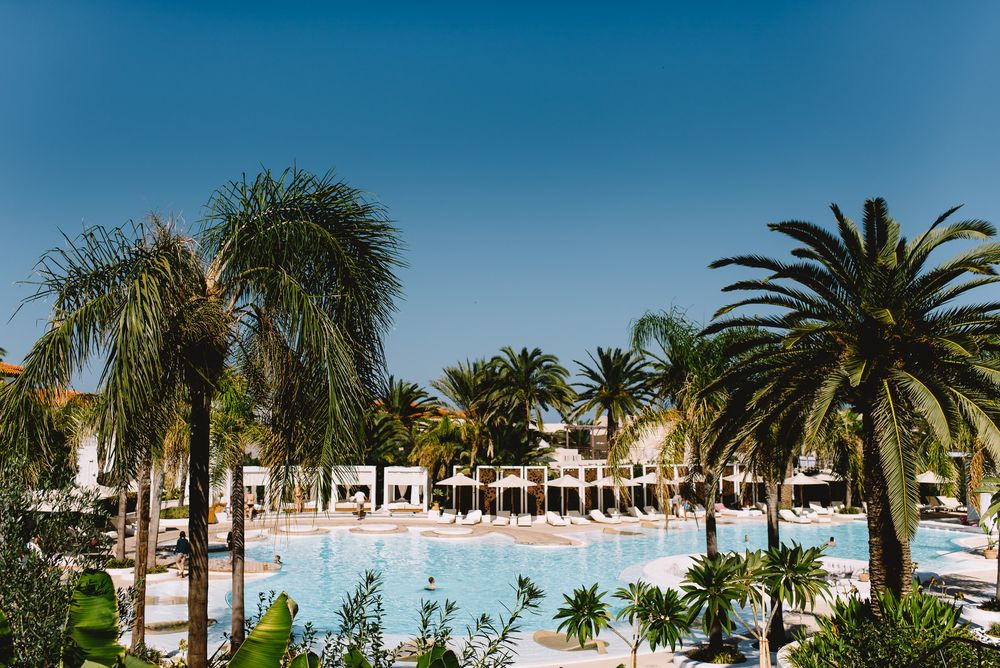Luxury resort pool surrounded by tall palm trees under a clear blue sky with white lounge chairs and elegant architecture.