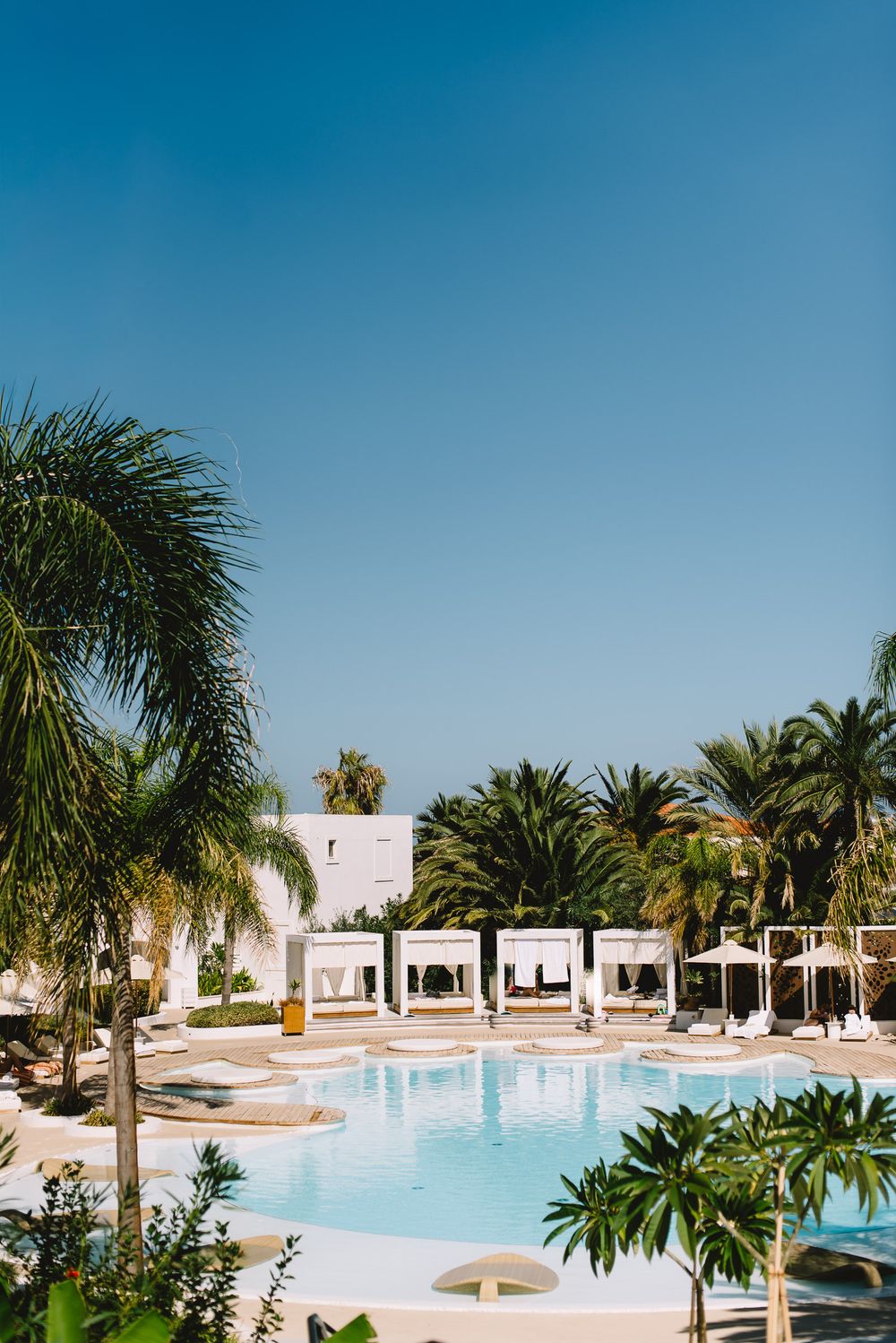 Luxury resort pool surrounded by palm trees and white cabanas under a clear blue sky.