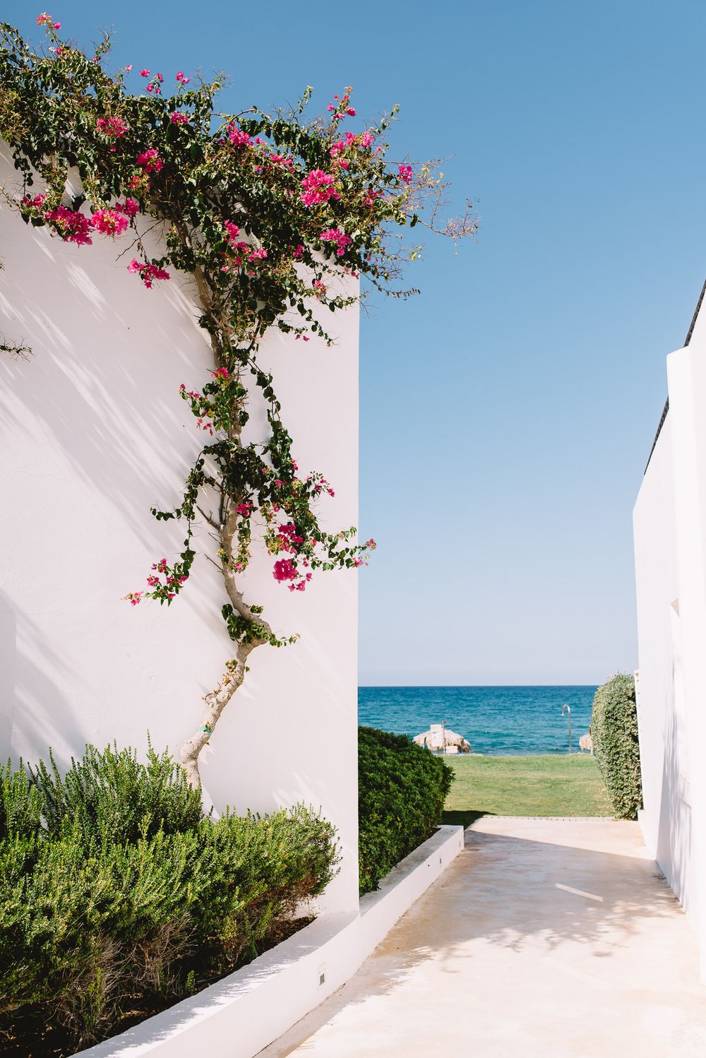 White Mediterranean wall with pink bougainvillea flowers leading to turquoise sea view.