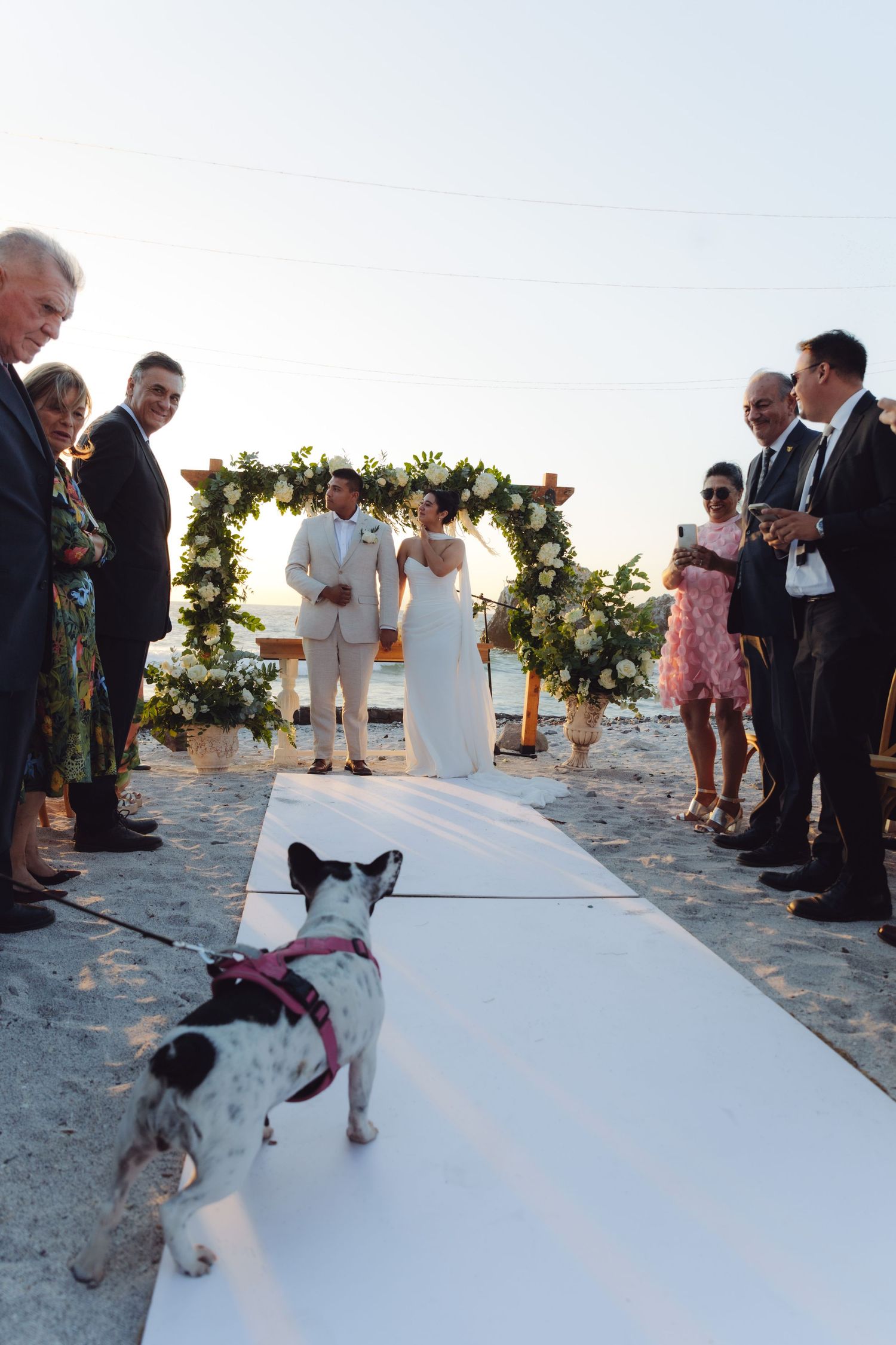 Dog walks down aisle at outdoor beach wedding ceremony with floral arch and guests.