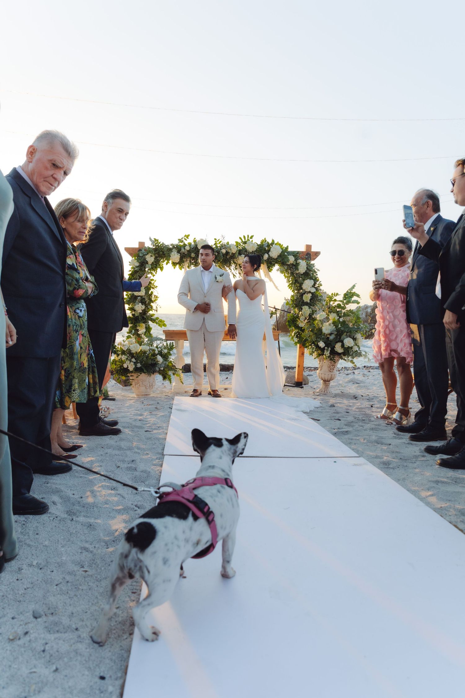 Small dog on leash walks white aisle runner at beach wedding ceremony.