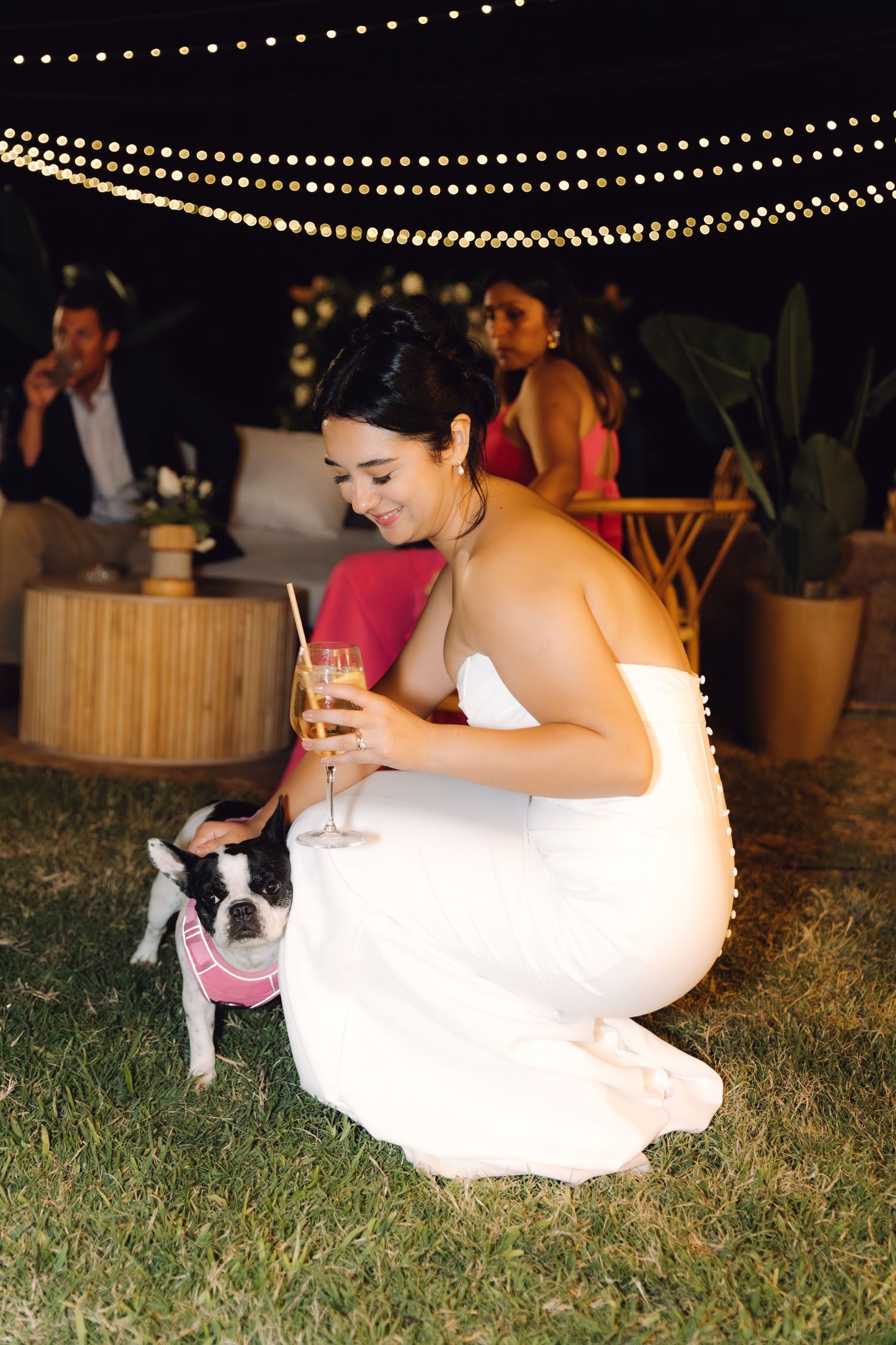 Bride in white strapless gown crouching to greet a Boston Terrier wearing a pink bandana at wedding.