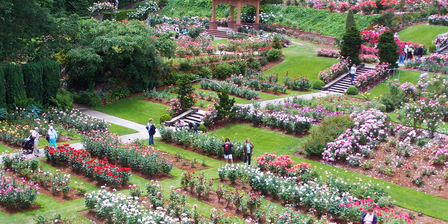Illuminated wooden paddle gate arch over a winding pathway at night, surrounded by lush greenery and warm lights.