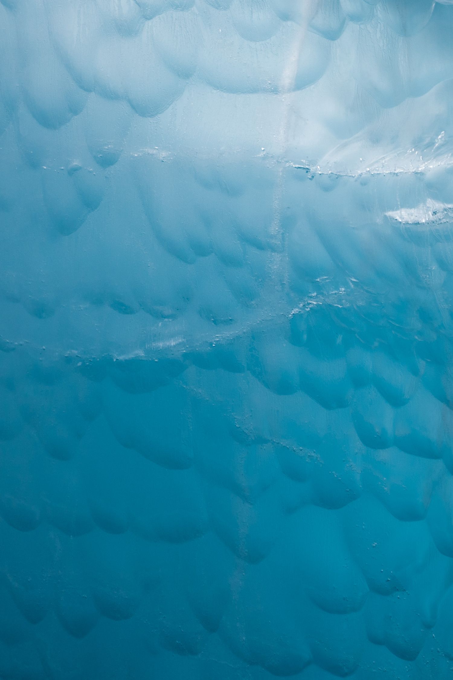 Alvéoles régulières creusées par la fonte à la surface bleutée d'un iceberg
