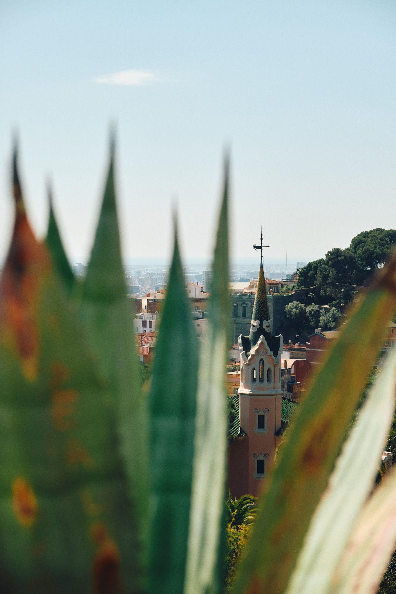 Agave plants frame a distant church spire and terracotta rooftops under a clear blue sky in Barcelona.