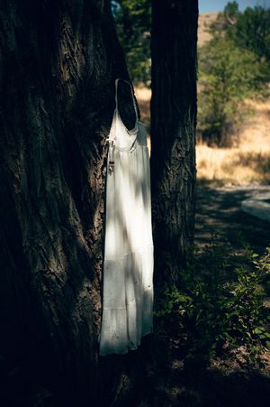 White dress hanging between two trees in a sunlit forest setting, perfect for rustic outdoor wedding inspiration.