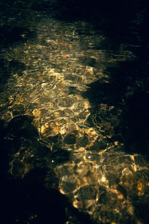 Golden sunlight reflects off rippling dark water surface creating abstract circular patterns of light and shadow.