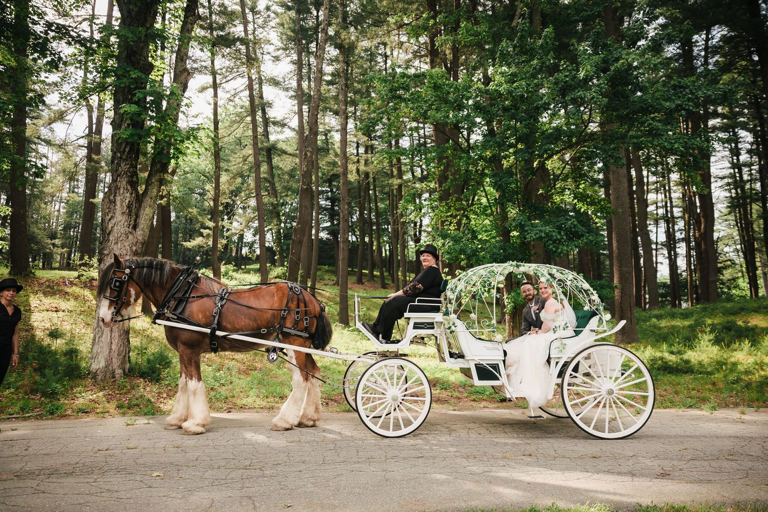 Newlyweds riding in a white horse-drawn carriage through wooded grounds at Searles Castle in Windham, New Hampshire.