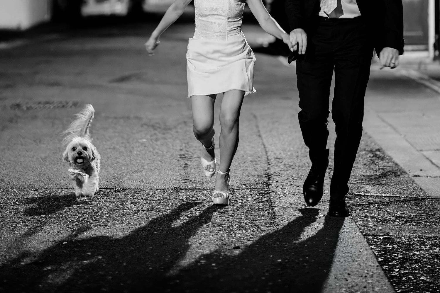 Black and white photo of a bride and groom running with a small white dog on a wet street.