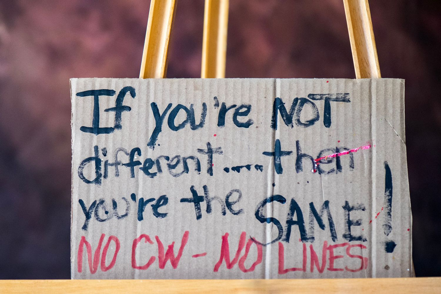 Cardboard sign on easel reading If you're not different then you're the same, No CW No Lines protest message.