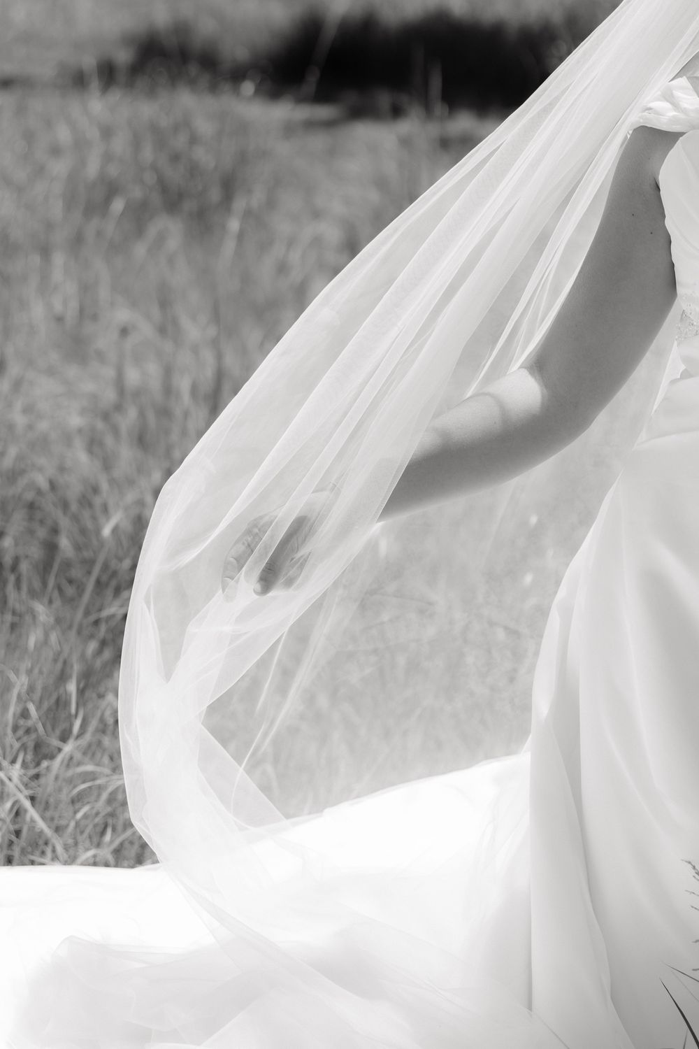 Black and white photo of a bride holding her flowing wedding veil in a field.