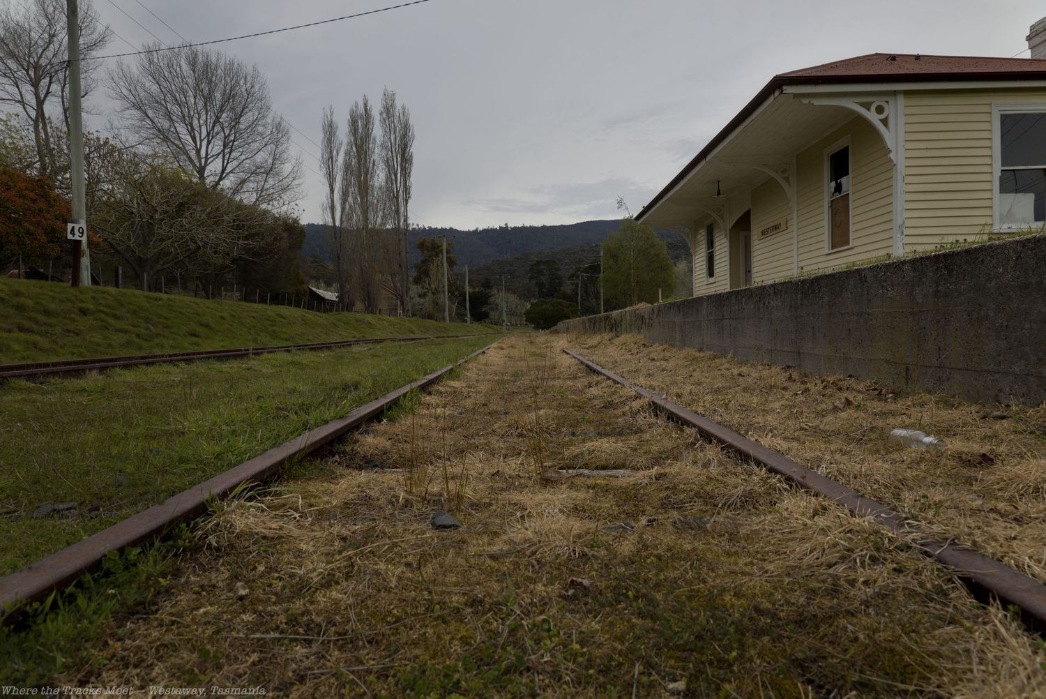 Weathered railway tracks curve through green grass toward a small cream-colored station building with a red roof and trees beyond.