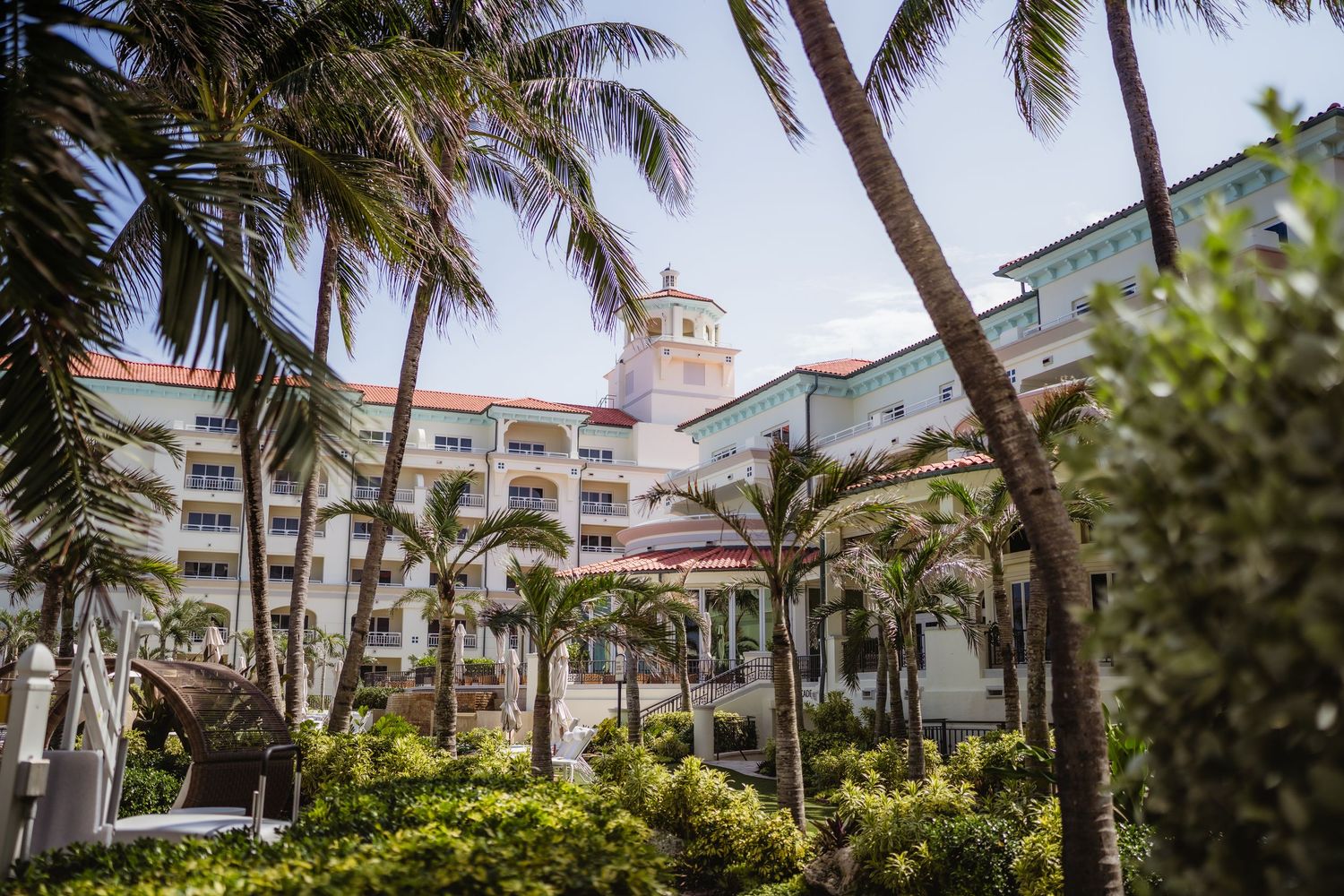 Luxury beachfront hotel surrounded by lush tropical palm trees and manicured gardens under a bright blue sky.