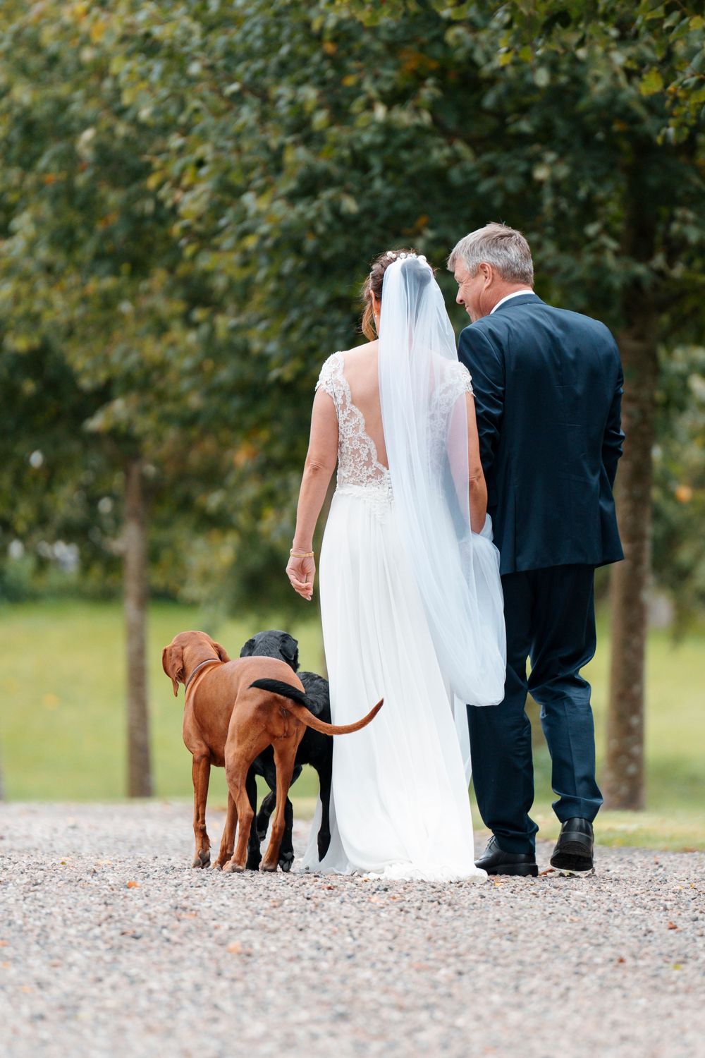 Newlyweds walking with their dog on gravel path surrounded by trees.