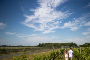Couple walking hand in hand through lush vineyard rows under a dramatic blue sky with wispy clouds.