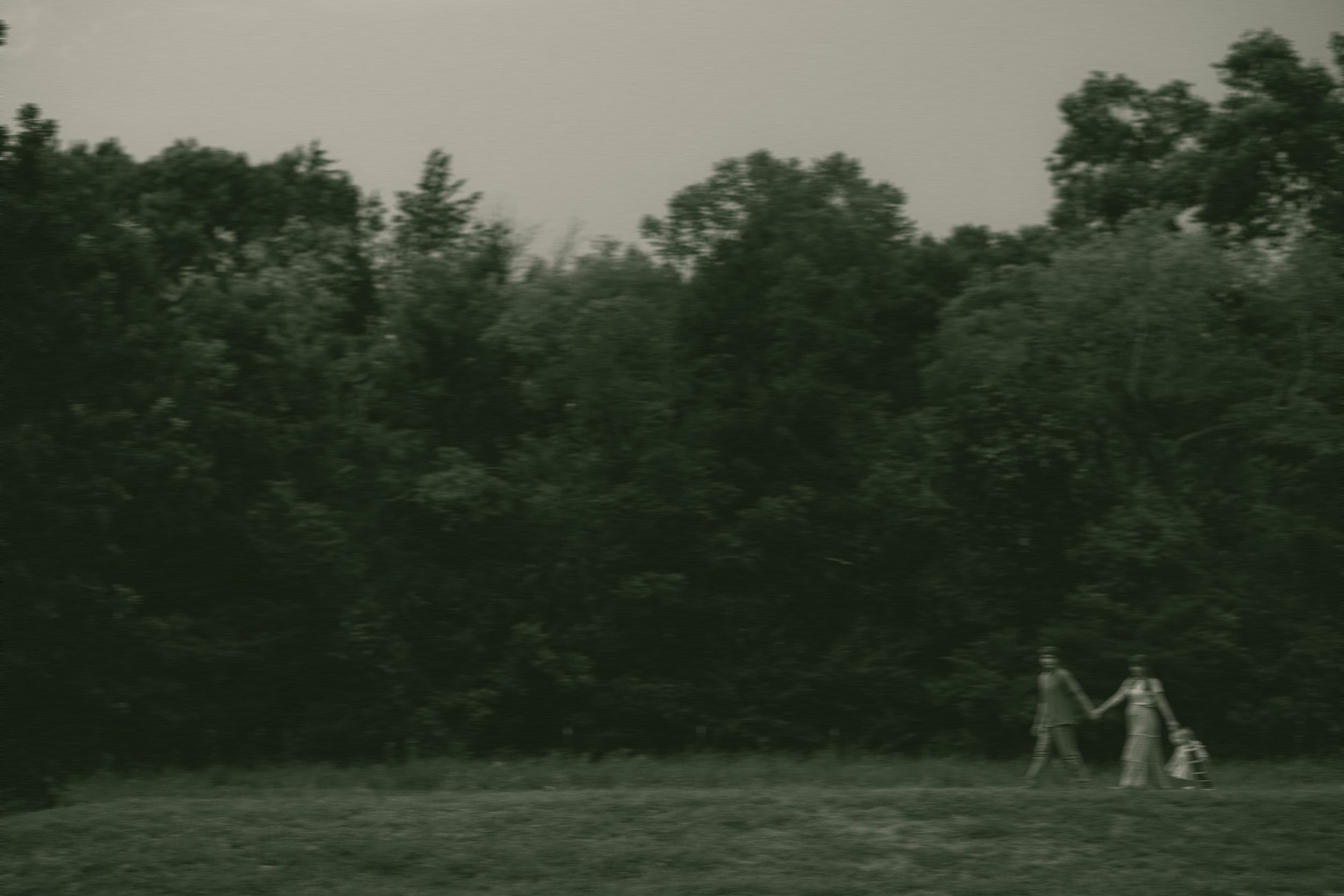 A couple holds hands with a child in a green meadow surrounded by dense trees in a vintage black and white photo.