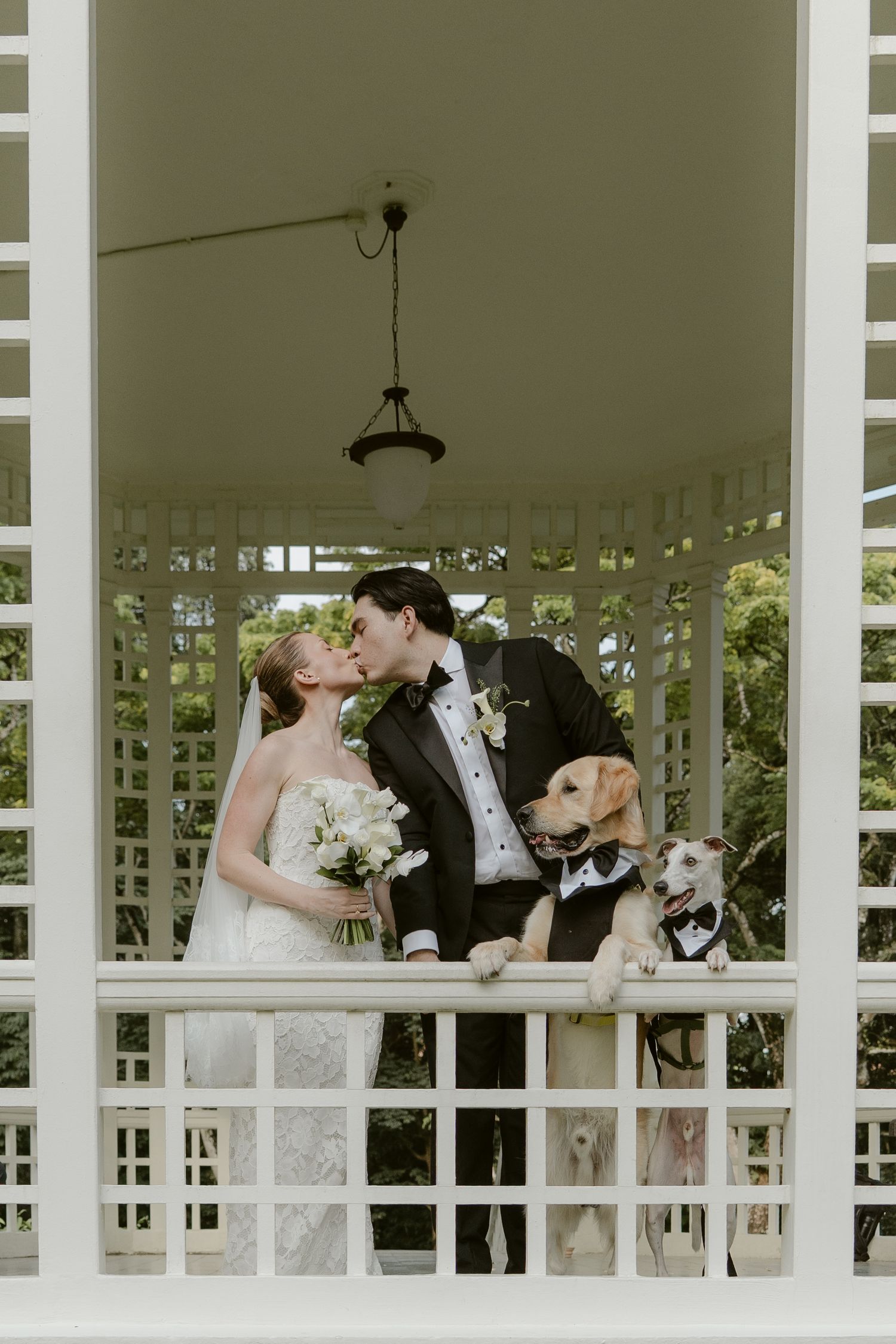 Bride and groom kissing in white gazebo with two dogs wearing bow ties at their wedding ceremony.