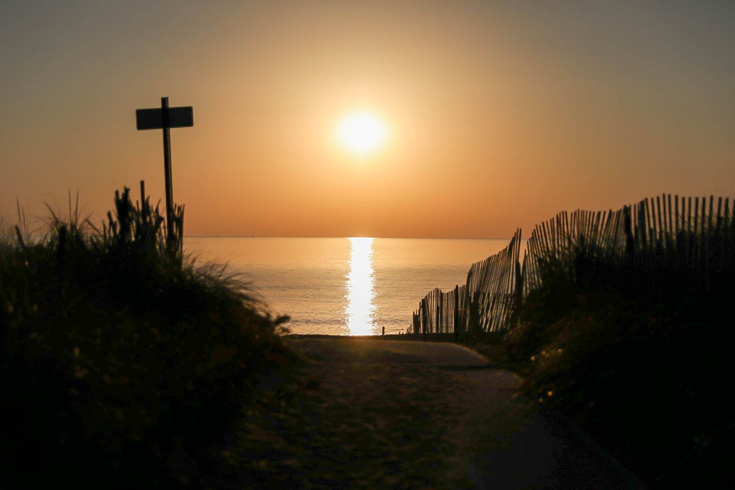 Sunset over the ocean viewed through a sandy beach path flanked by dune grass and wooden fences.