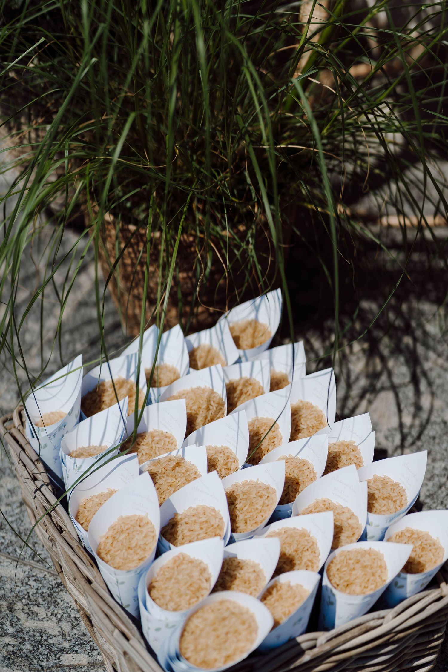 Wicker basket filled with paper cones containing rice or seeds, arranged neatly for a wedding toss outdoors.