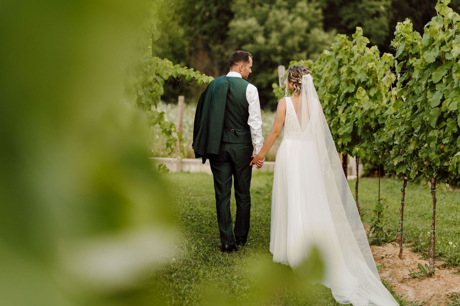 Bride and groom walking hand in hand through a lush vineyard, bride wearing a flowing white gown with veil.