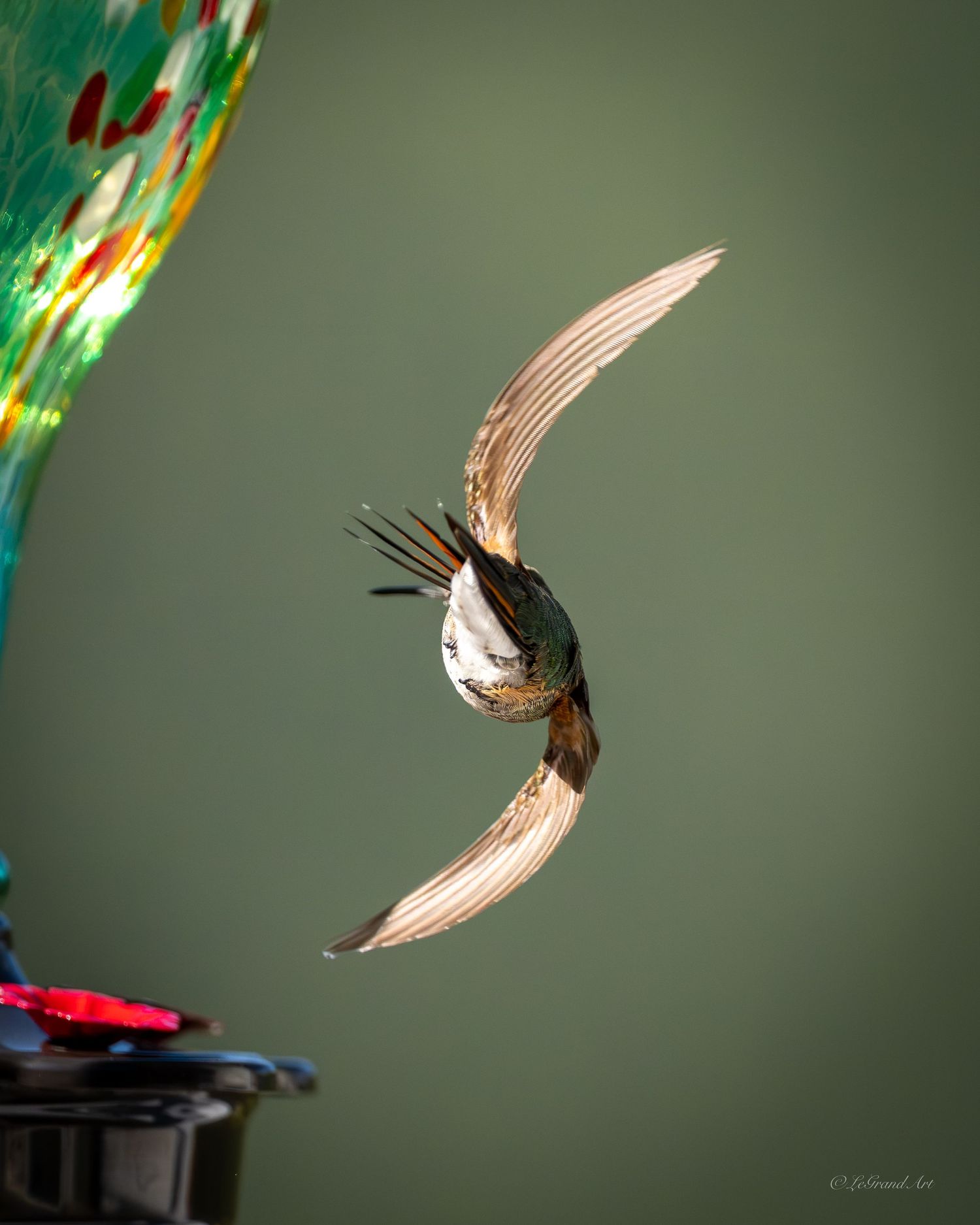 Hummingbird in mid-flight near colorful glass feeder with wings curved gracefully.