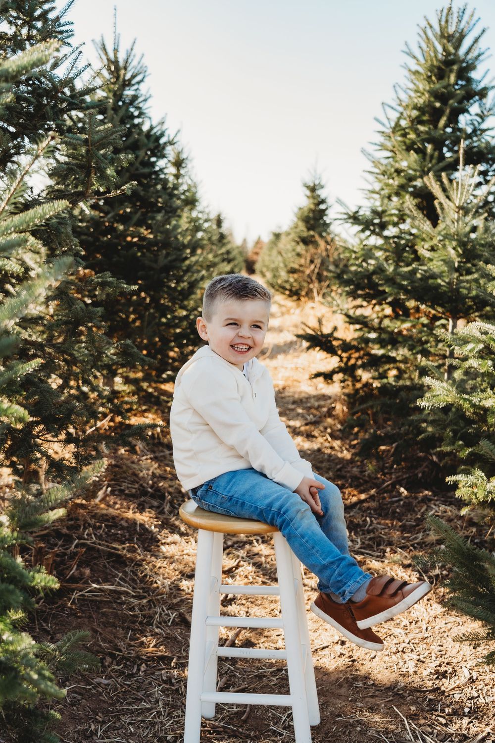 A smiling young boy sits on a wooden stool at a Christmas tree farm, wearing a white sweater and jeans.